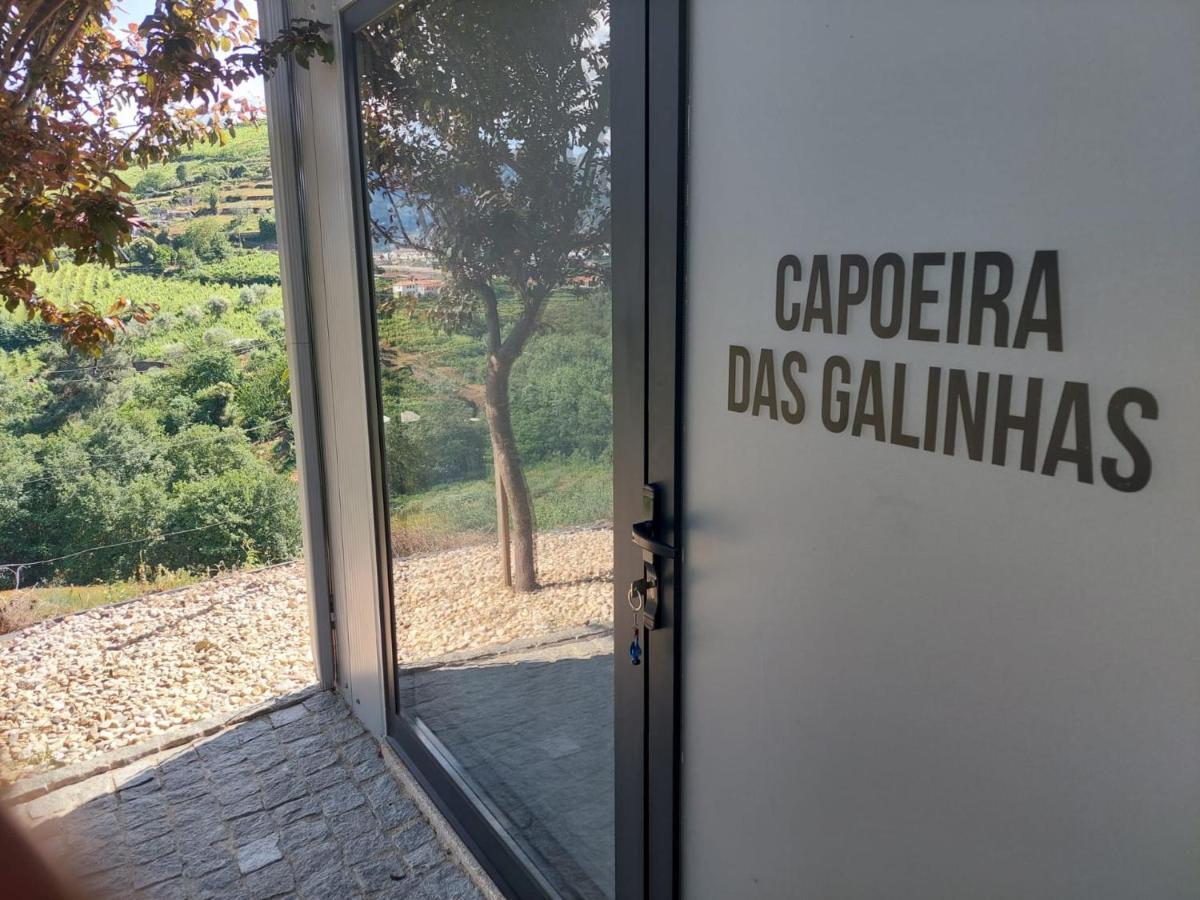 Quinta Sao Jose - Museu Do Triciclo Villa Mesão Frio Dış mekan fotoğraf