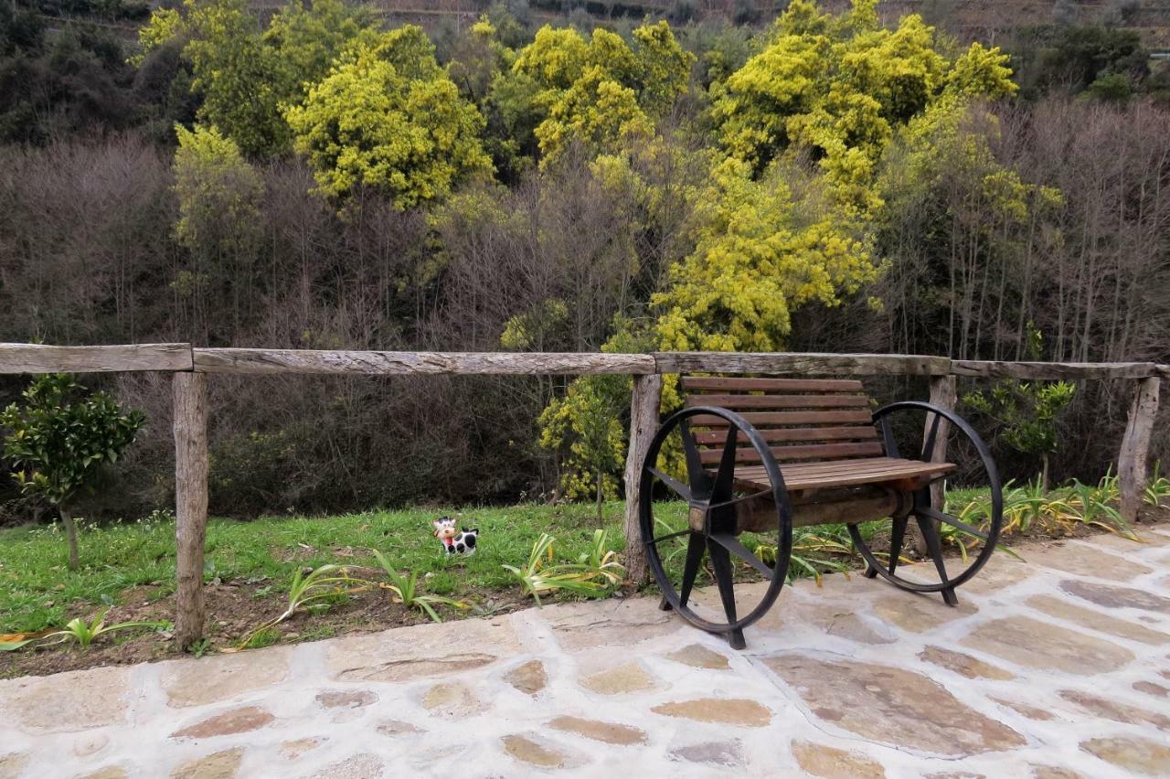 Quinta Sao Jose - Museu Do Triciclo Villa Mesão Frio Dış mekan fotoğraf