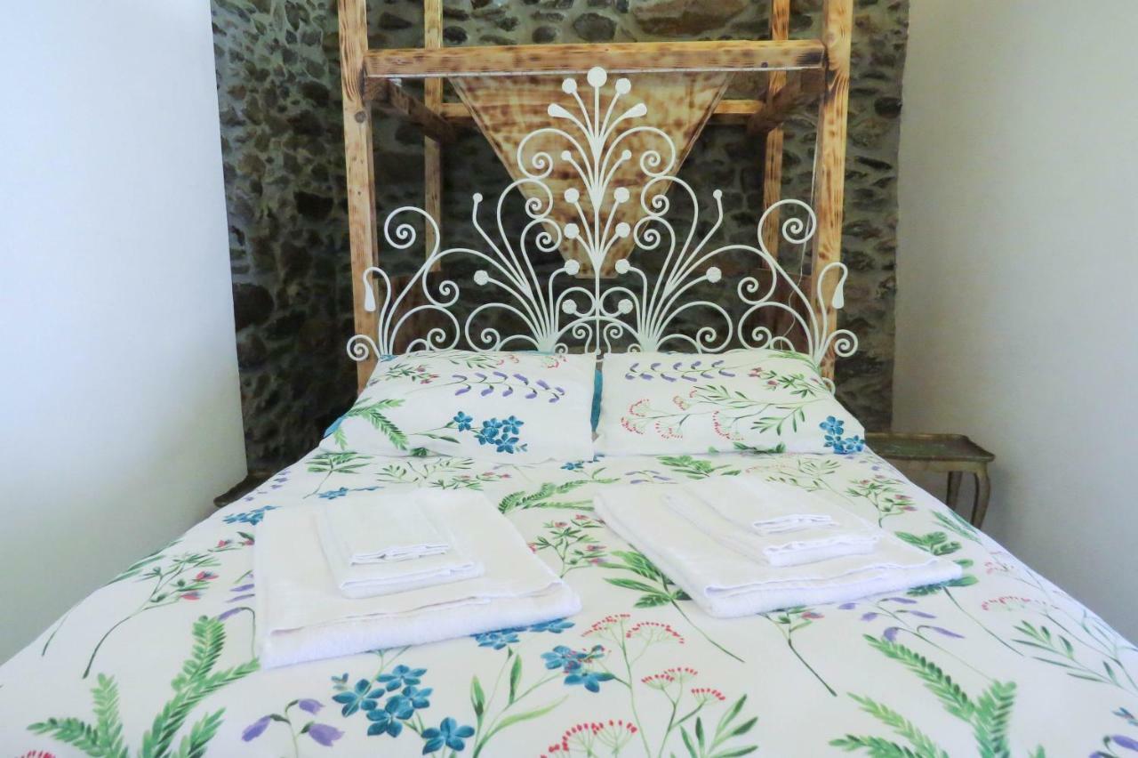Quinta Sao Jose - Museu Do Triciclo Villa Mesão Frio Dış mekan fotoğraf