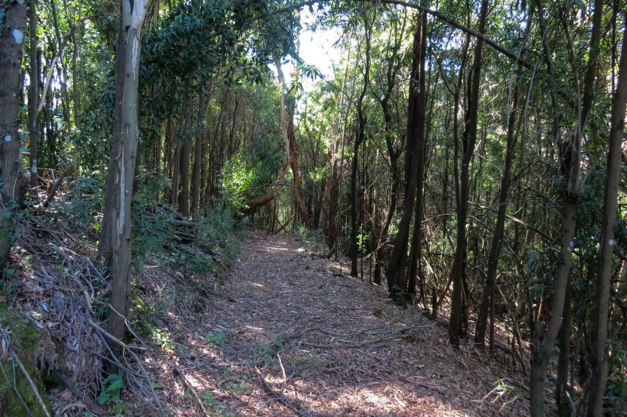 Quinta Sao Jose - Museu Do Triciclo Villa Mesão Frio Dış mekan fotoğraf