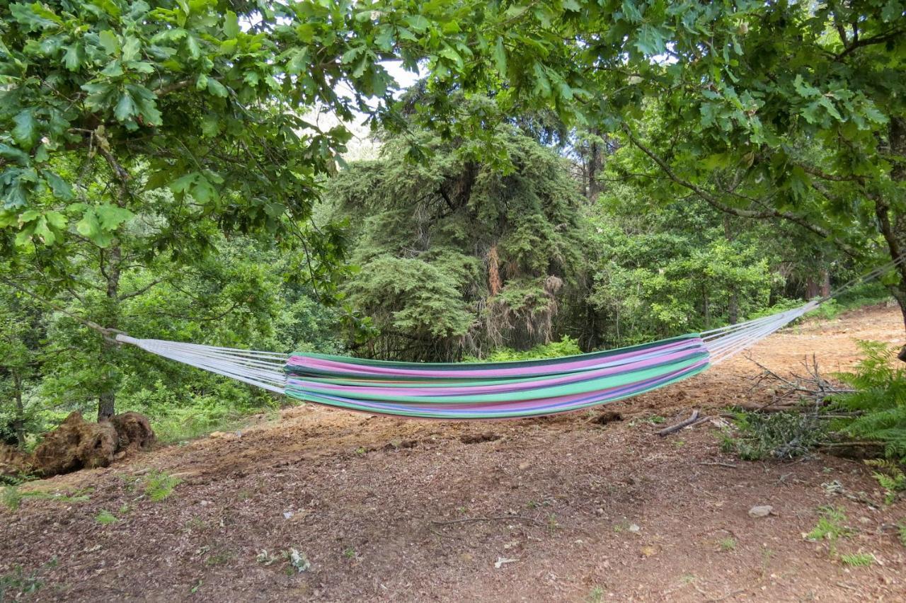 Quinta Sao Jose - Museu Do Triciclo Villa Mesão Frio Dış mekan fotoğraf